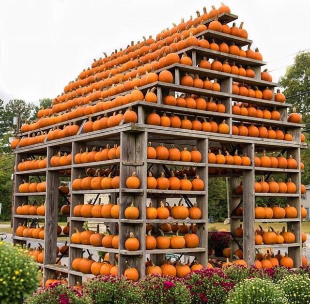 Now THIS is #Halloween goals!  ????????????  (via @CountryLiving) https://t.co/xo3XNYHB5o