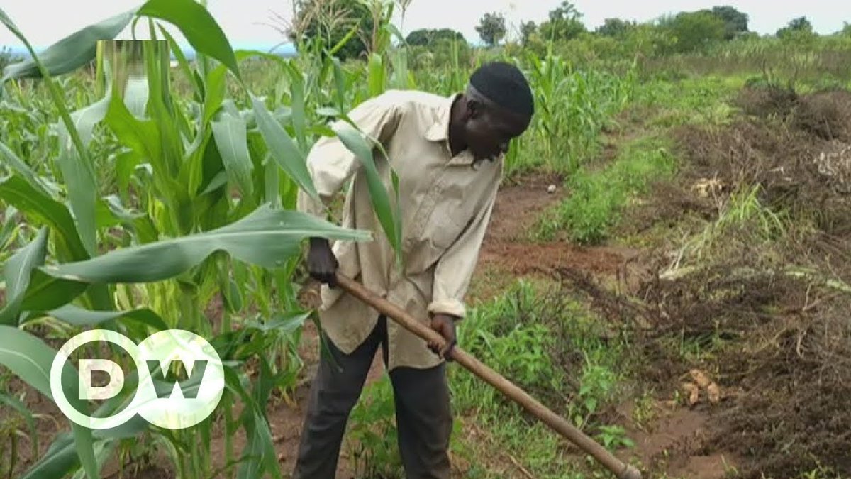 Refugee influx increases strain on Uganda's resources | DW English