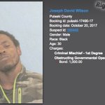 Police: Man jailed after pumpkin stolen from downtown Little Rock restaurant, smashed