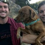 Climbers rescue dog trapped for weeks in old mine shaft near Fairplay