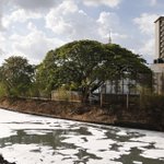 Study finds pollution is deadlier than war, disaster, hunger