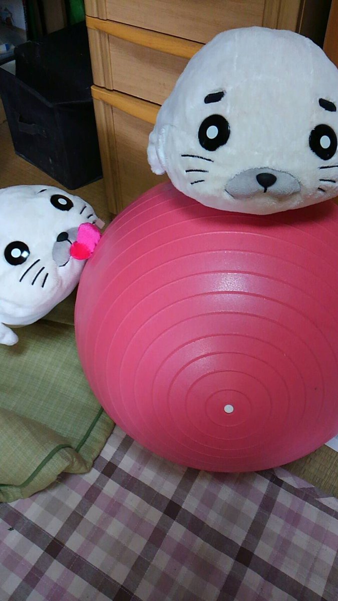ばらんすぼーる#ゴマちゃん ばらんすぼーる#ゴマちゃん
