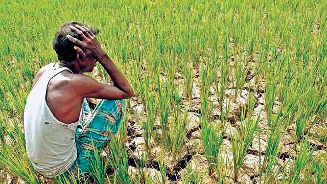 BJP blames Punjab govt, says farmers still dying