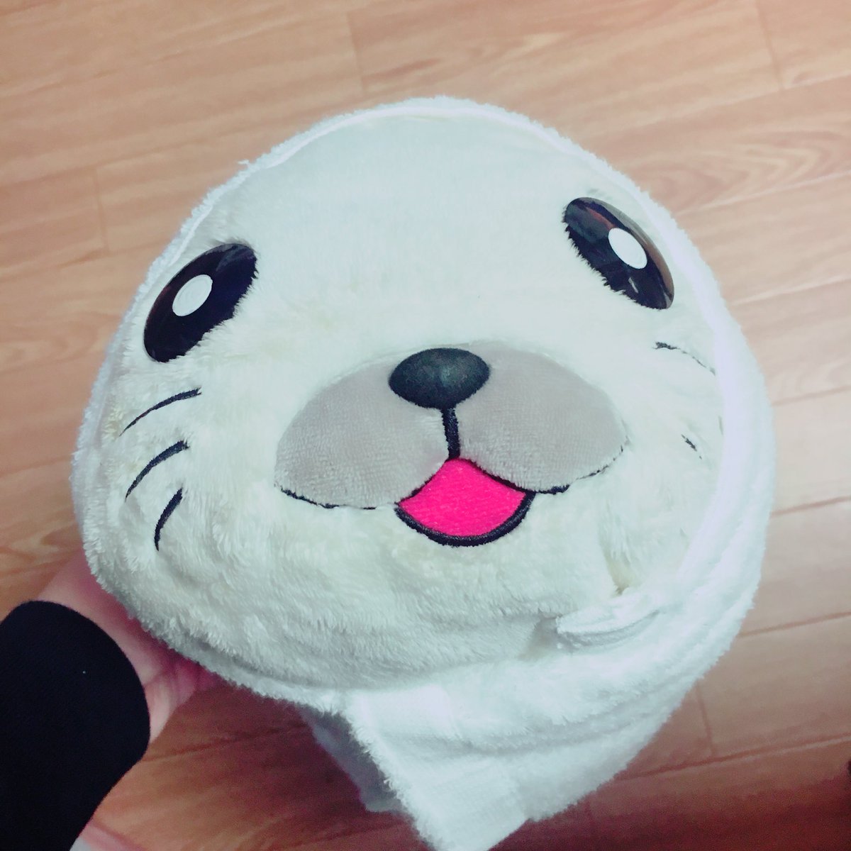 戴いた今治タオルを身に纏いましたが。。。竜平ちゃんみが拭えず、、#ゴマちゃん #今治タオル 戴いた今治タオルを身に纏いましたが。。。竜平ちゃんみが拭えず、、#ゴマちゃん #今治タオル