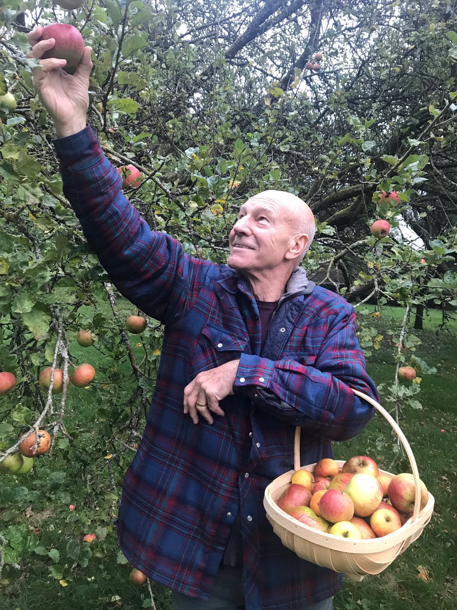 RT @SirPatStew: I've been picking apples in the autumn since before it was cool to post about it on Instagram. https://t.co/9hJLCwV6Fc
