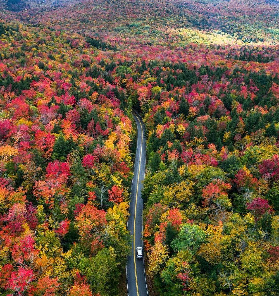 Road trip goals. #TakeMeHere #Daydreaming #Fall ???????????? (????: @MichaelMatti ) https://t.co/9Z9hi9r0Hi