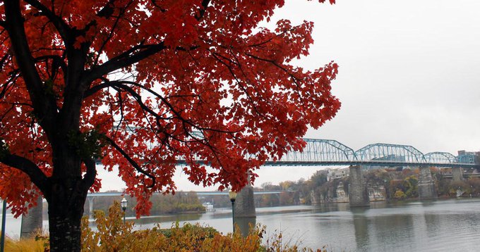 9 Spots for the Perfect Instagram Photo this Fall 9 Spots for the Perfect Instagram Photo this Fall
