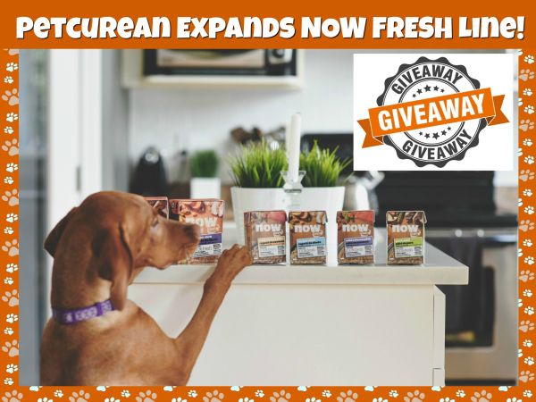 Petcurean Expands NOW FRESH Line! #Giveaway! Petcurean Expands NOW FRESH Line! #Giveaway!