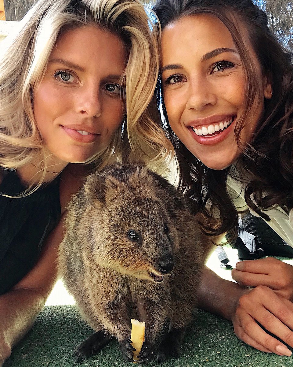 Our new best friend ???? #QuokkaSelfie https://t.co/wFnGYBAwcQ