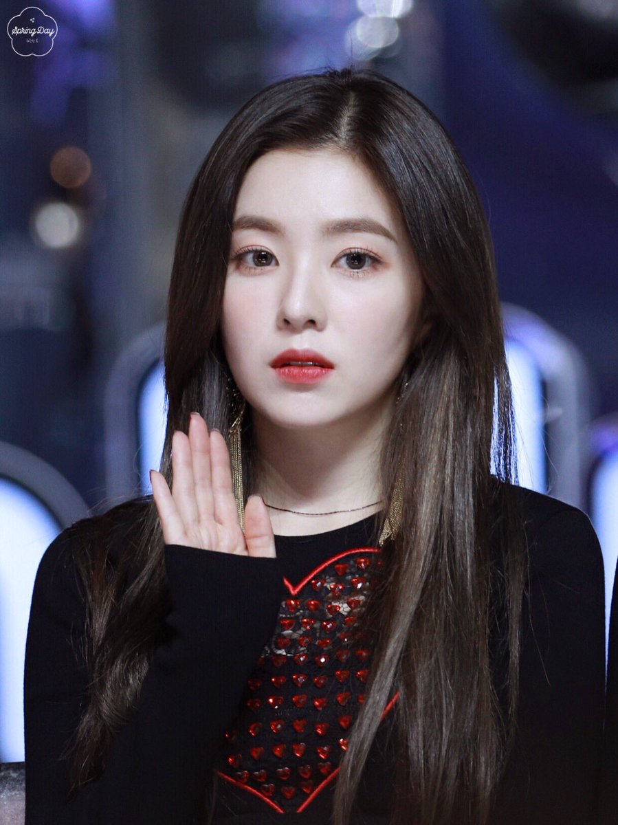 레드벨벳 REDVELVET 아이린 조이 IRENE 웬디 엑소 springday305