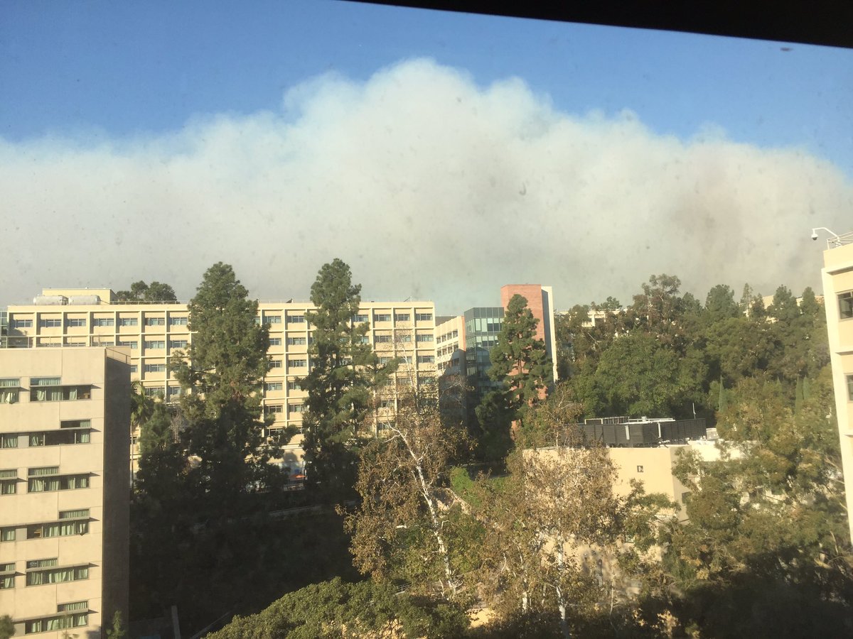 #SkirballFire
