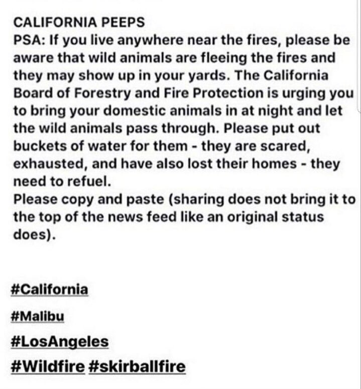 PSA for the Fires and wild animals. https://t.co/4tNA77PAXI