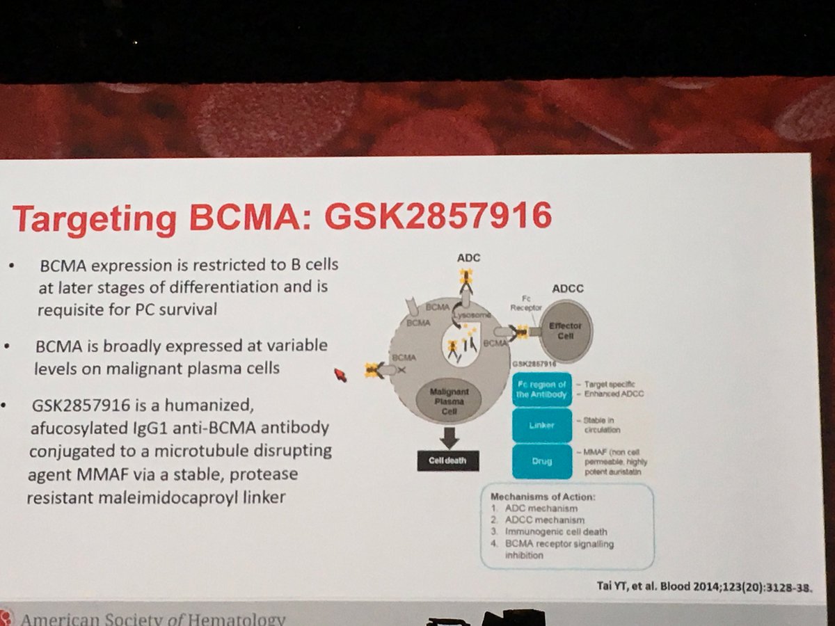 #ASH17