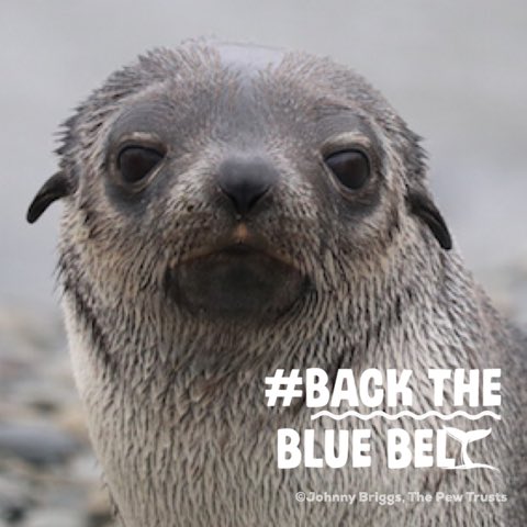 Tonight I’m watching   @BBCOne 8pm - learning to protect our beautiful world #BackTheBlueBelt  #BluePlanet2 ???????????????????? https://t.co/BGrDQ4wx3I