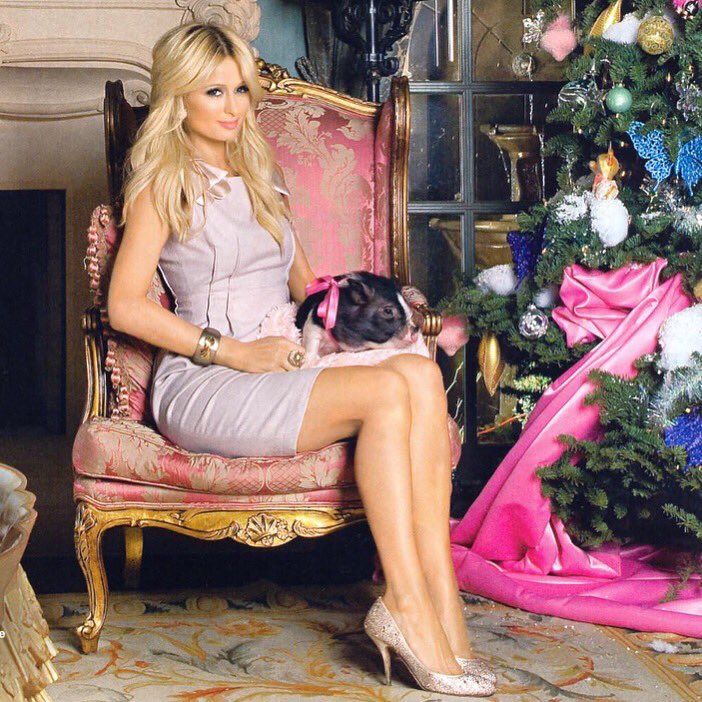 Happy Christmas from Me & Princess Piggelette the pig! ???????????????????? https://t.co/yVPEFIvf3V