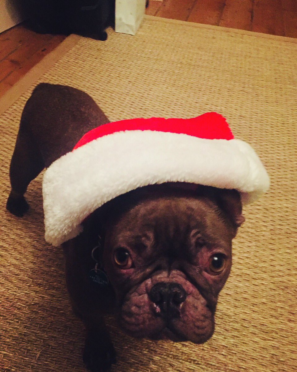 Nelson says Happy (belated) Christmas! https://t.co/7CilLqVkgV