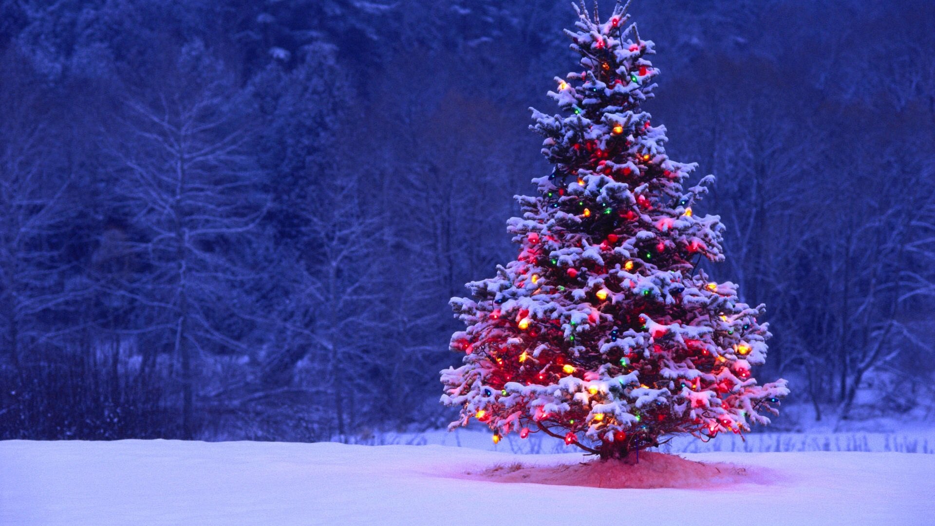“Have Yourself A Merry Little Christmas....” https://t.co/i65gHtlkx6