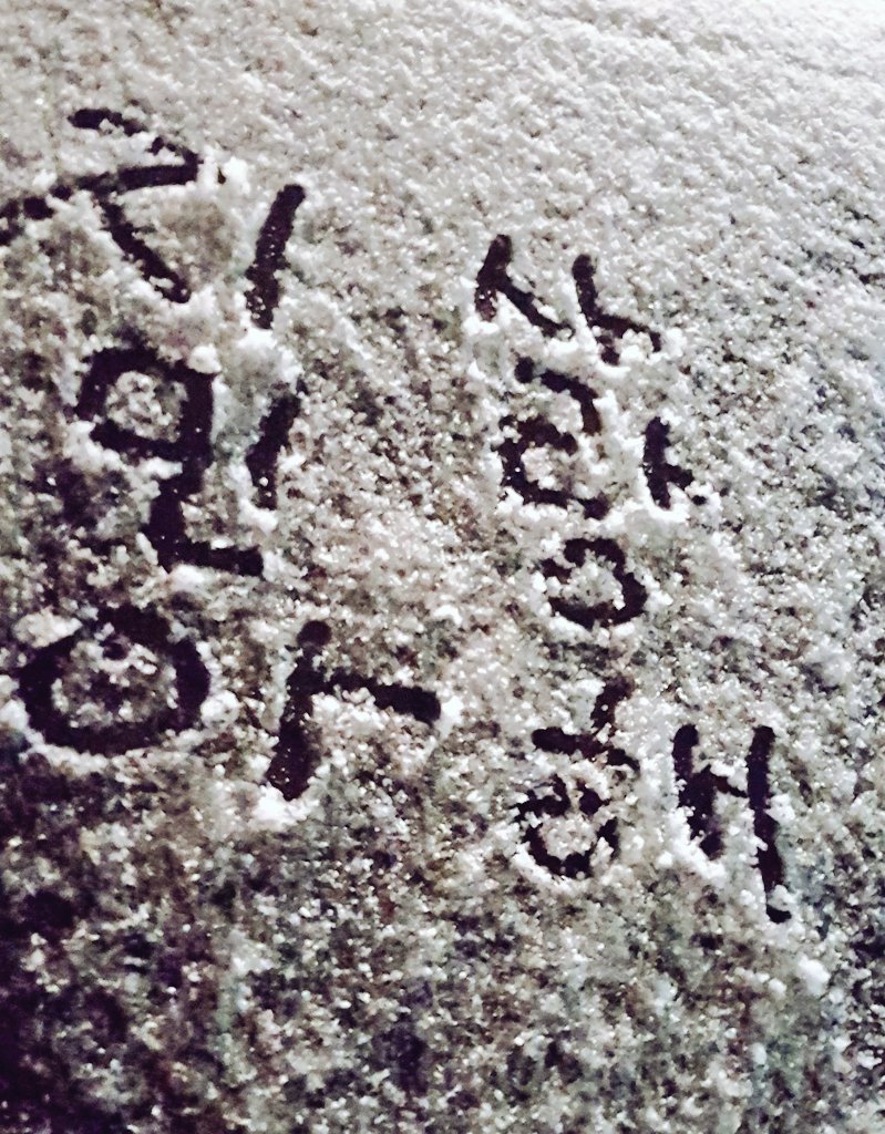 흰눈 보라 눈이 내린다 하성운 펑펑 성운이 yosunny01