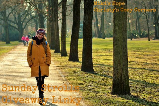 Sunday Stroll Giveaway Linky 1/7 Sunday Stroll Giveaway Linky 1/7