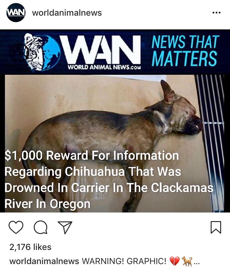 RT @Danielle_Elwood: ????(Please Share)‼️???????????????? #Oregon #Repost @Canine_Rights @joannakrupa https://t.co/OmcpoQhRr1