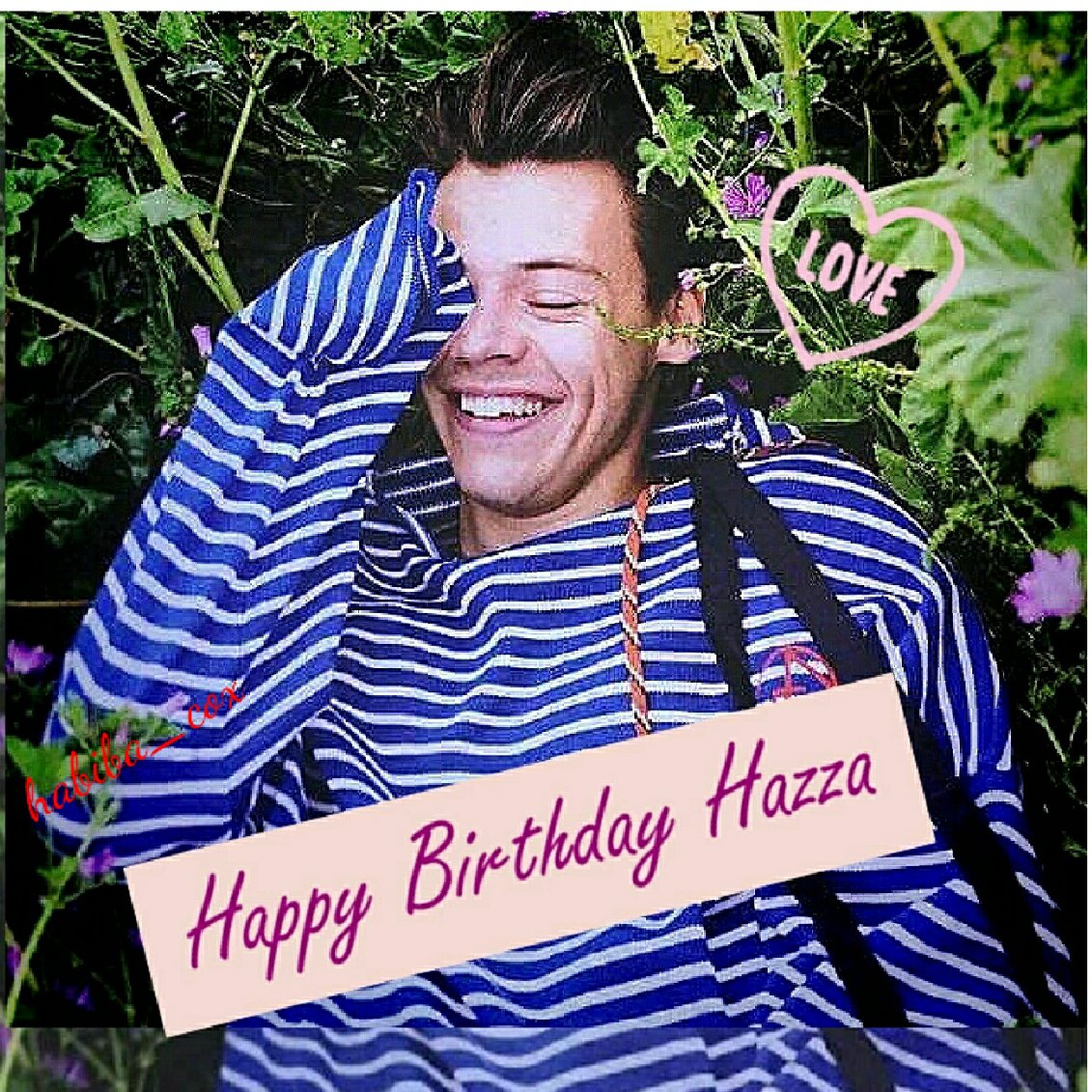 Harry Styles's Birthday Celebration HappyBday.to