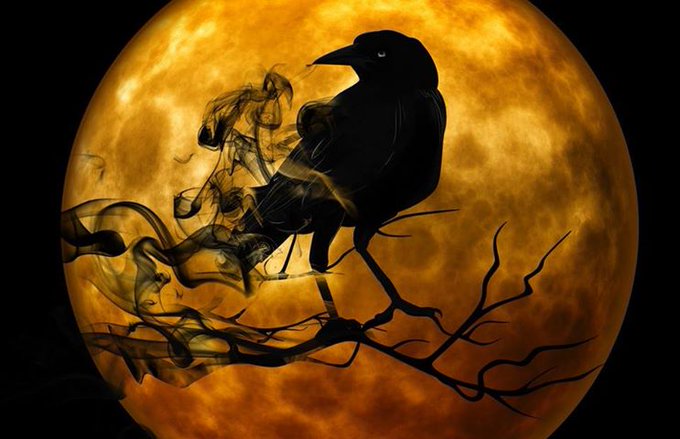 Horror Book of Choice Giveaway Horror Book of Choice Giveaway
