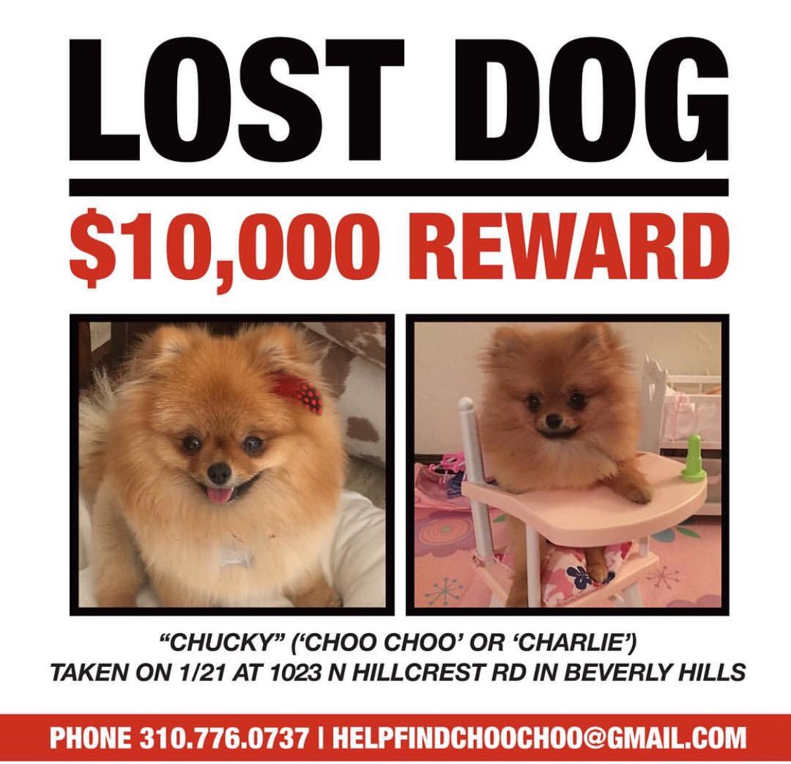 RT @NickyHilton: Reward for lost dog ???? #BeverlyHills https://t.co/8OTZxmUpwJ