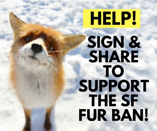 Sign the petition to ban the sale of fur in SF! https://t.co/sWOmDwTfOt #SFFurBan https://t.co/CL0wkQAN83