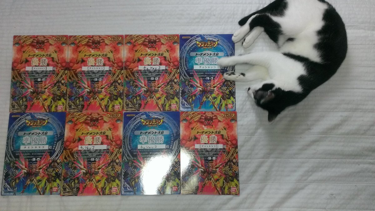 マジンボーン! と、ねこ。 マジンボーン! と、ねこ。