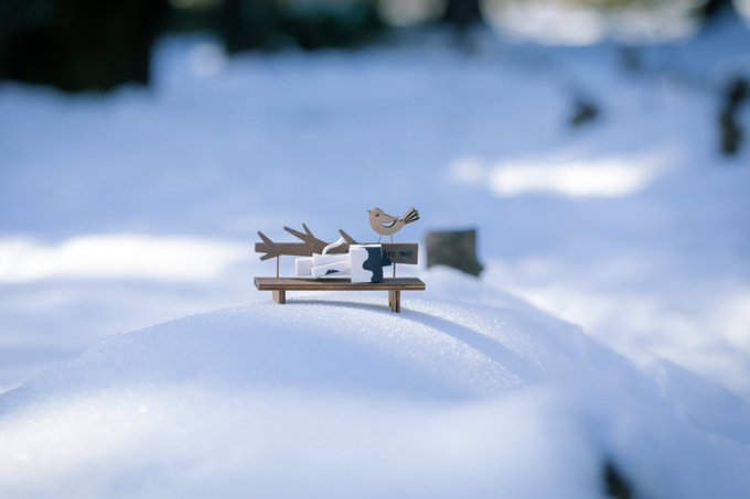 「慌ただしい毎日、ここはどこだ? ひどくつかれたシロクマです。」 #雪撮 #にゃんぼー 「慌ただしい毎日、ここはどこだ? ひどくつかれたシロクマです。」 #雪撮 #にゃんぼー