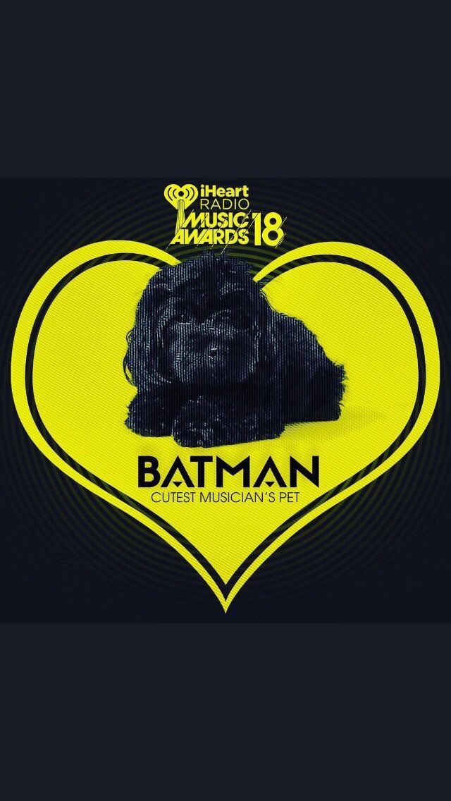RT @iheartDemi91: i'm voting for #Batman as #CutestPet at the #iHeartAwards. go online and vote for him too! https://t.co/Voggsf7RoW