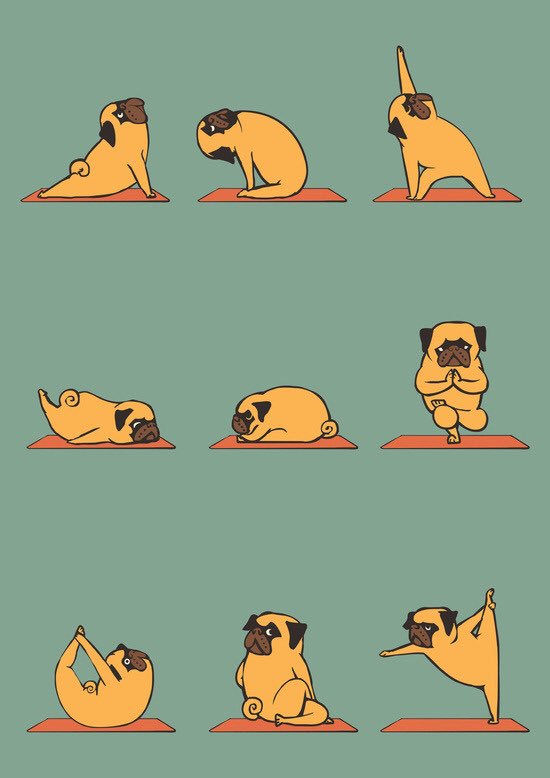 Sundays on #Pinterest lead to finds like this….and I’m not mad at it. #PugYoga or #DOGA as I call it ☺️ https://t.co/9nUYy1Kehk