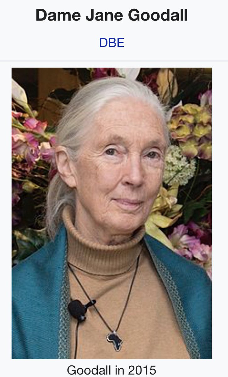 OH OH OH.....
JANE GOODALL???? HAS JOINED “FREE THE WILD”????????
I DONT DESERVE HER???????? https://t.co/kyU3U8sEV3