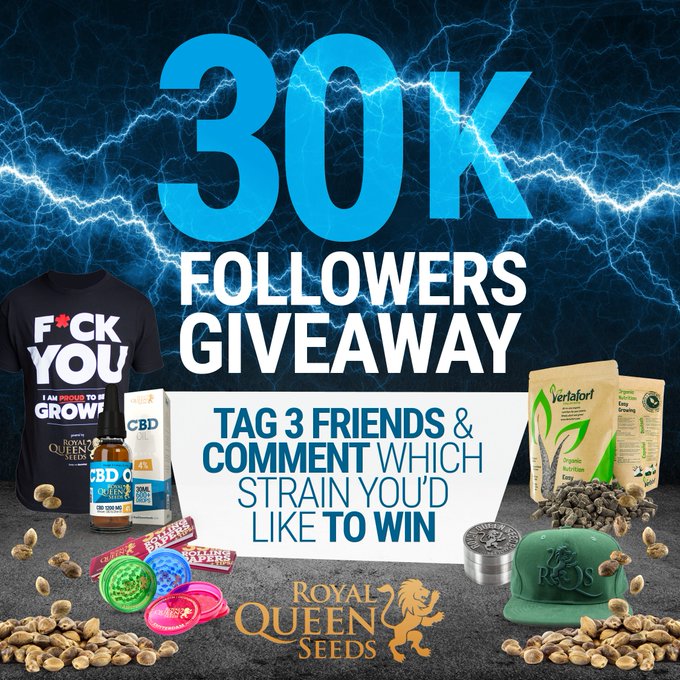 Royal Queen Seeds on Instagram: “#Giveaway time! 🤘🏻🔝 Do you want to be the winner? 1 Royal Queen Seeds on Instagram: “#Giveaway time! 🤘🏻🔝 Do you want to be the winner? 1