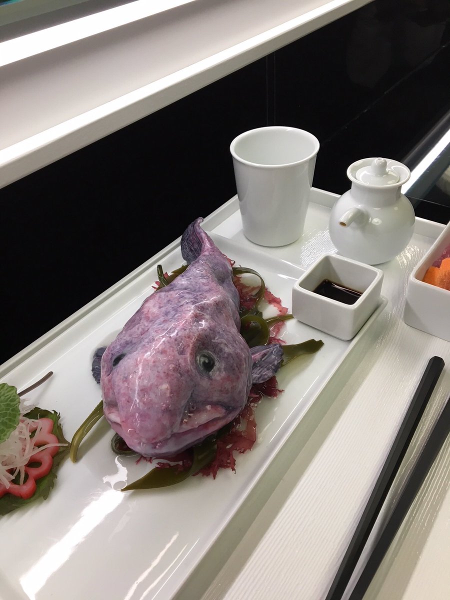 Looking forward to meeting you all. 
Love, blobfish aka William 
#bts #TheXFiles https://t.co/fq7k6yW8bN