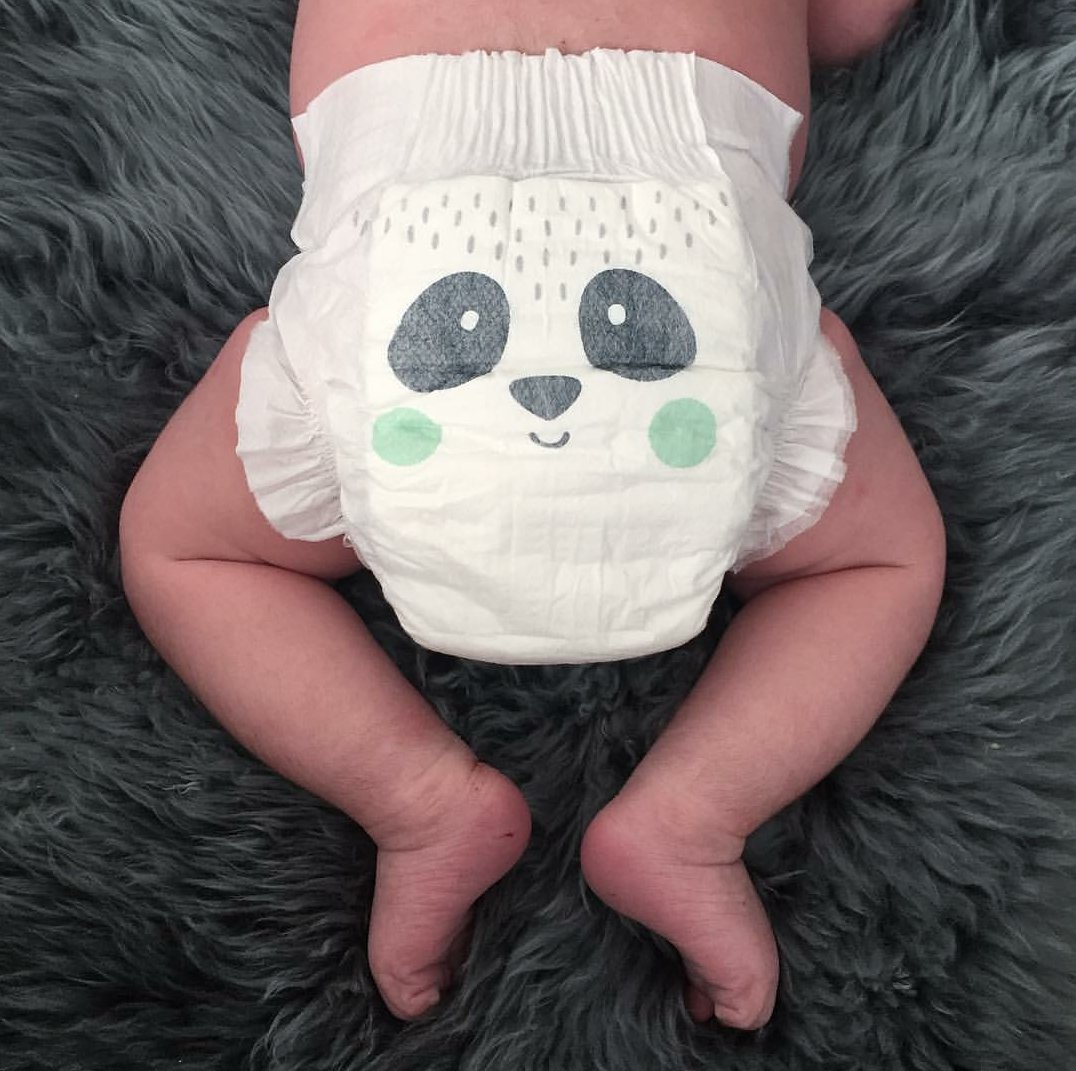 RT @KitandKinUK: The cutest panda bum ???? #repost https://t.co/qnwodBF6QU