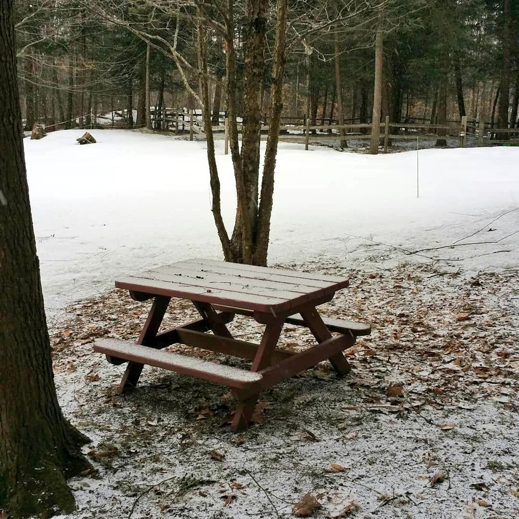#winterstorm
