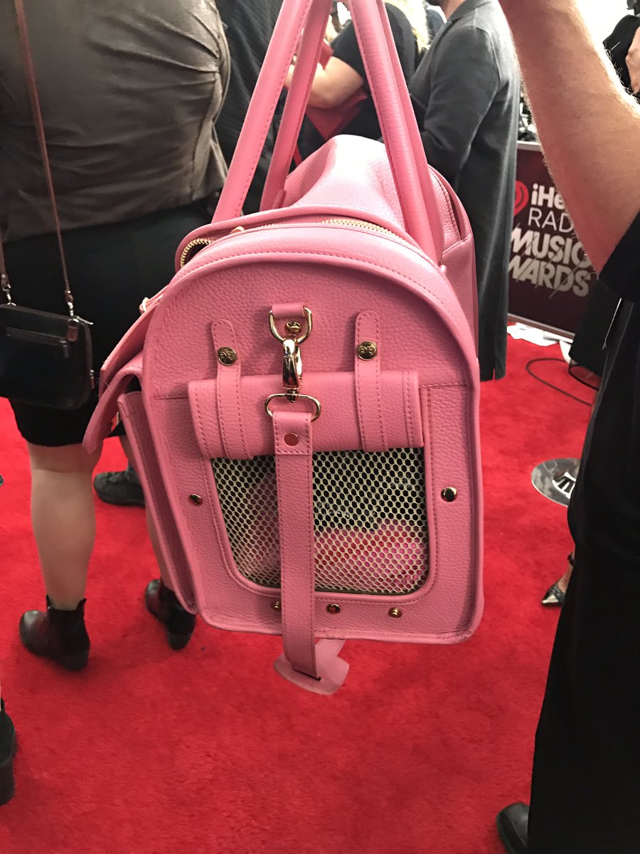 RT @iHeartRadio: SPOTTED: @ParisHilton's dog Diamond Baby at the #iHeartAwards2018! https://t.co/grOBIucFVf