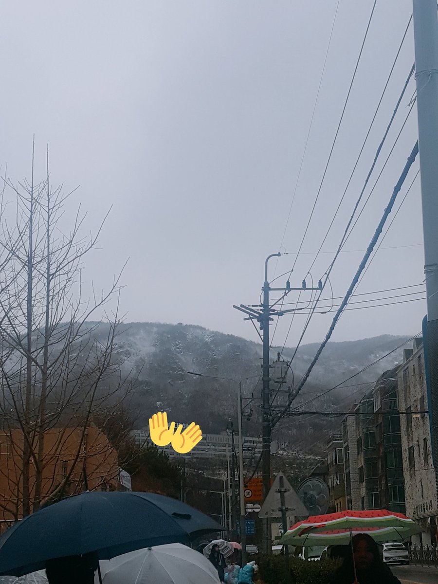 비 눈이 우산 내리는 온다 여기는 눈인지 120408_egzzo99