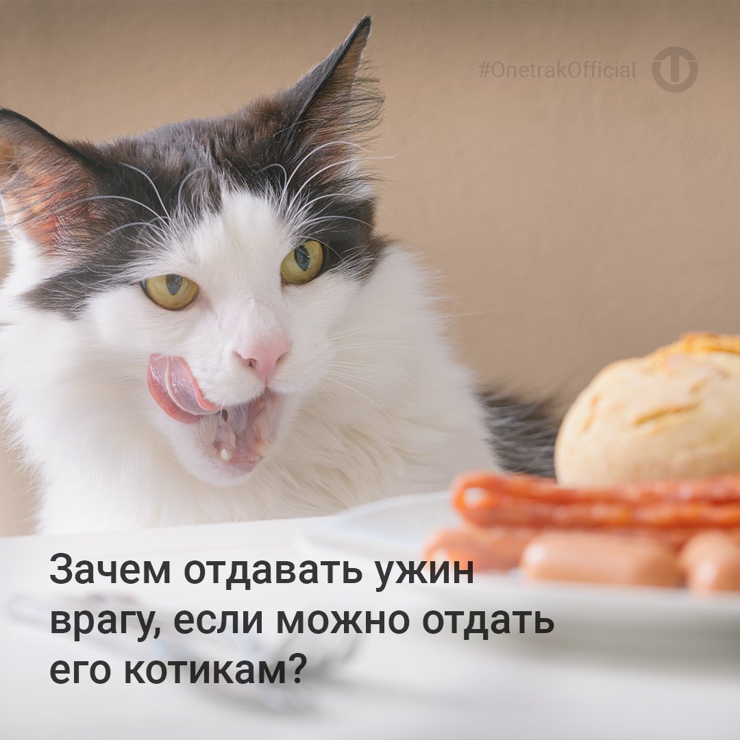 Про Кота И Диету