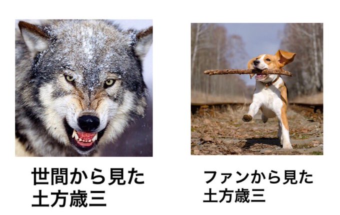 世間から見たちるらん新選組ファンから見たちるらん新選組もう誰かやってるかもしれないけど(笑) 世間から見たちるらん新選組ファンから見たちるらん新選組もう誰かやってるかもしれないけど(笑)