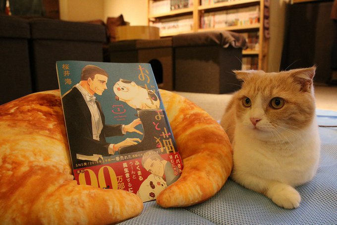 漫画入荷情報おじさまと猫山と食欲と私蜘蛛ですが、なにか?異種族レビュアーズはたらく細菌転生したらスライムだった件ちはやふ 漫画入荷情報おじさまと猫山と食欲と私蜘蛛ですが、なにか?異種族レビュアーズはたらく細菌転生したらスライムだった件ちはやふ