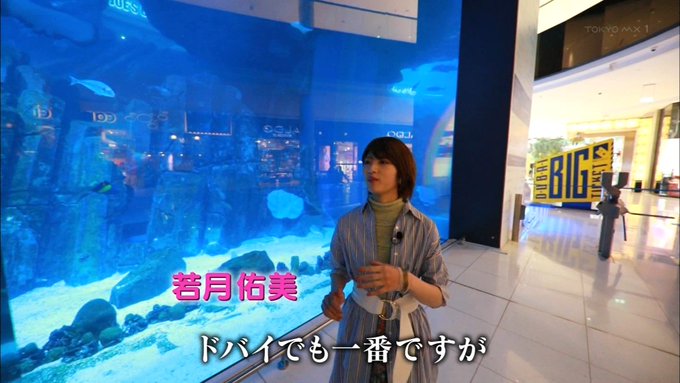 ドバイアクアリウム #FREEJ #フリージ ドバイアクアリウム #FREEJ #フリージ