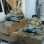 リクガメを塗ってます🐢
#wf2019s #リクガメ #動物フィギュア https://t.co/XldfqzGQl2