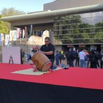 Da3YVDlU0AExlfA.jpg:thumb