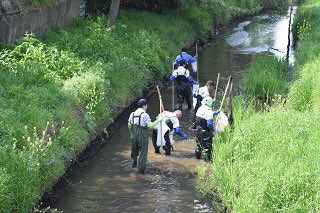 本日は、流山メダカ保存会様のお昼ご飯をご提供しましたm(__)mちびっこおにぎりセットには【ろこどる】魚心マスキングテー 本日は、流山メダカ保存会様のお昼ご飯をご提供しましたm(__)mちびっこおにぎりセットには【ろこどる】魚心マスキングテー