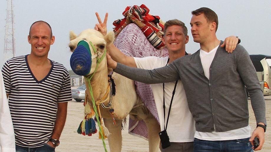 Schweinsteiger