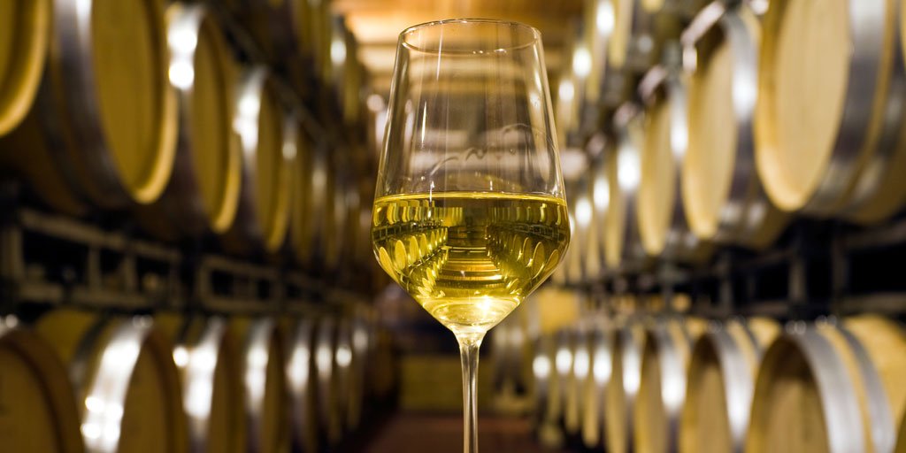 51 - ENOLOGIA VINOS