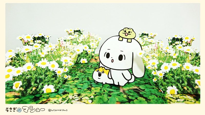 春がいっぱいですね。#うさぎのマシュー 春がいっぱいですね。#うさぎのマシュー