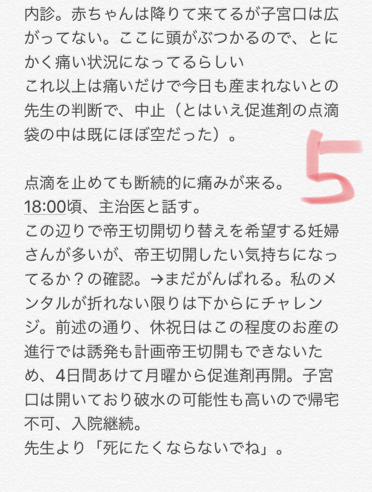 出産レポ②「ねぇ、秒速5センチメートルなんだって…… 子宮口の開く速度」(大嘘) 出産レポ②「ねぇ、秒速5センチメートルなんだって…… 子宮口の開く速度」(大嘘)